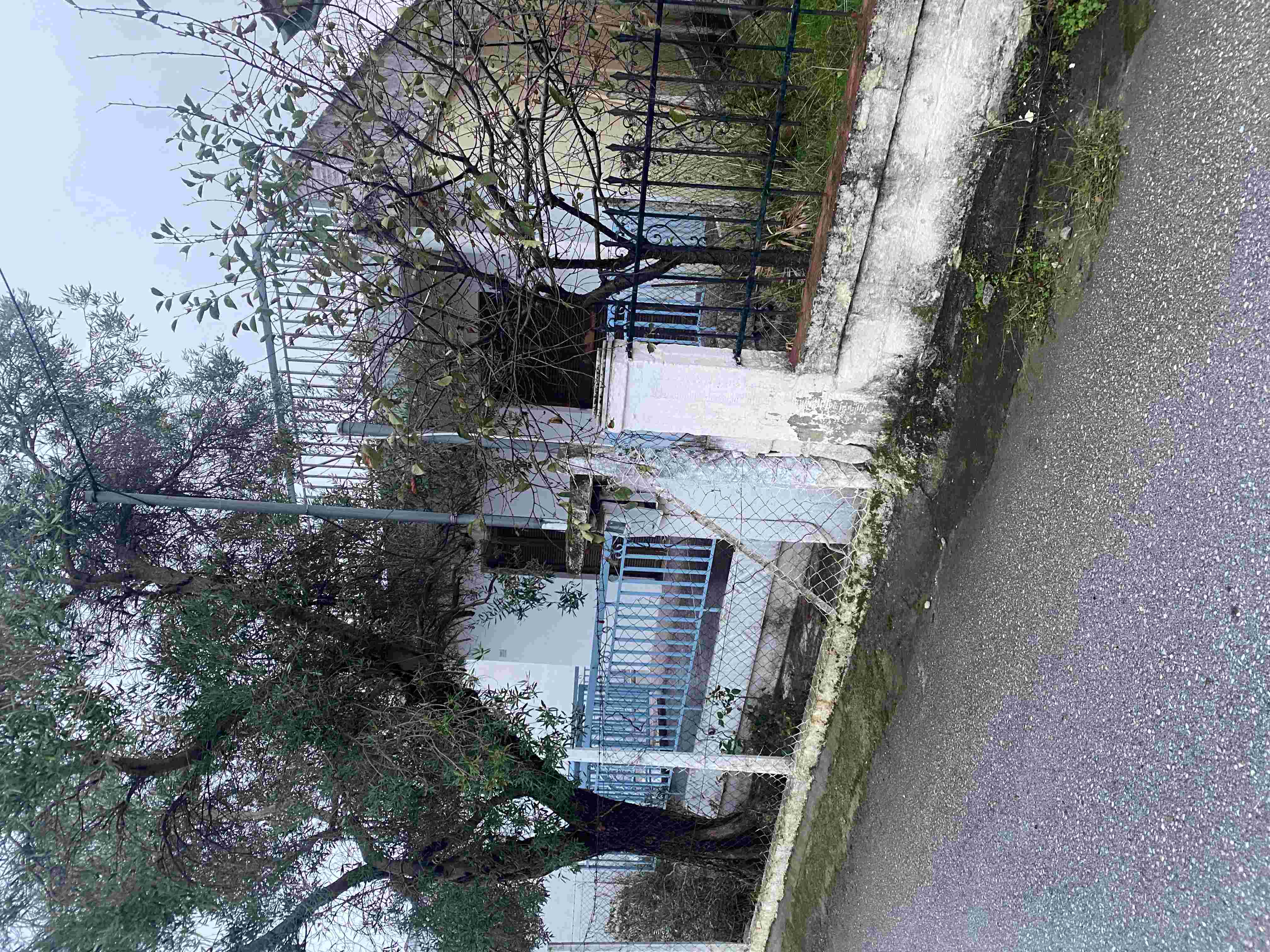 photo3