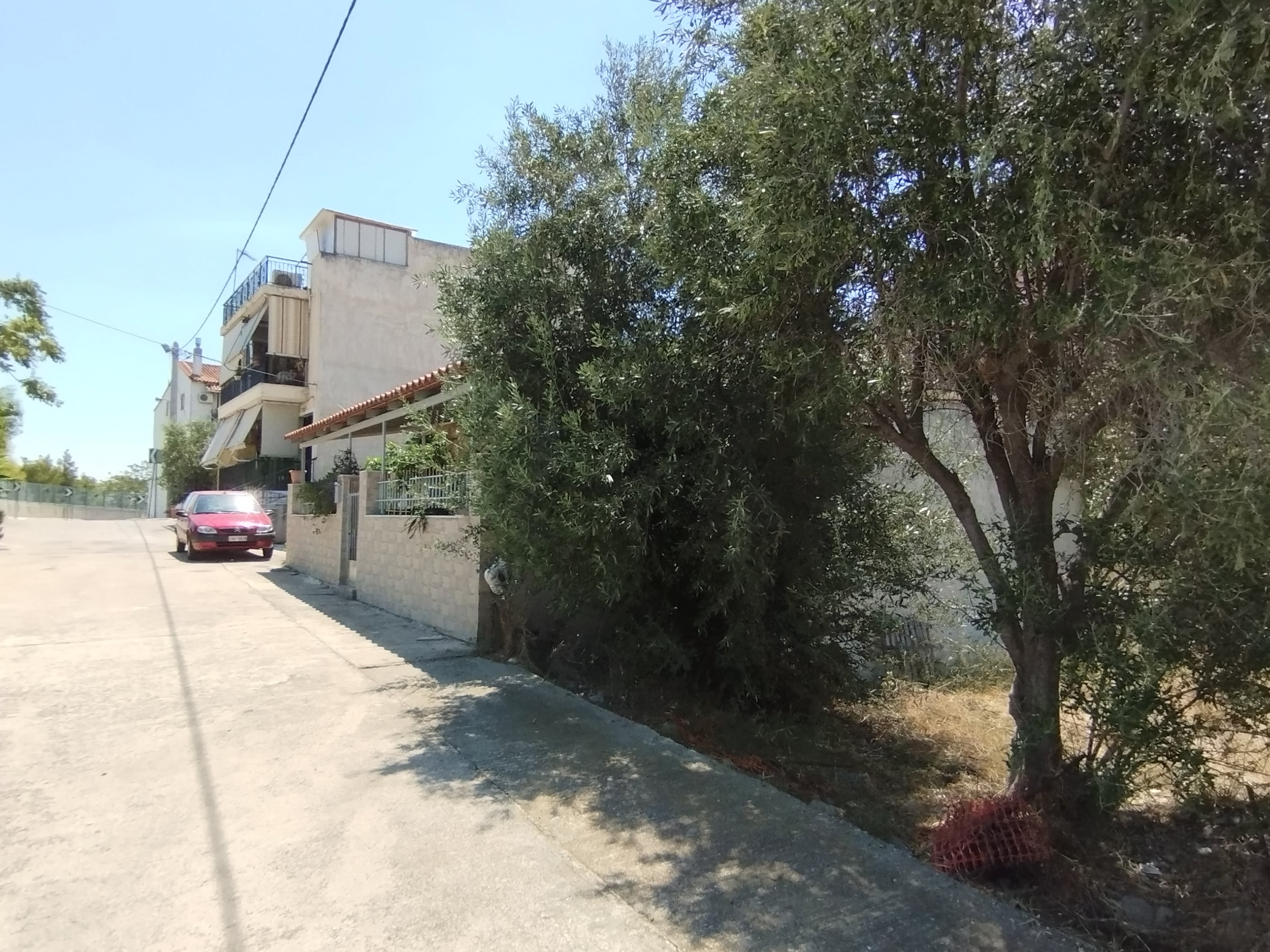 photo1