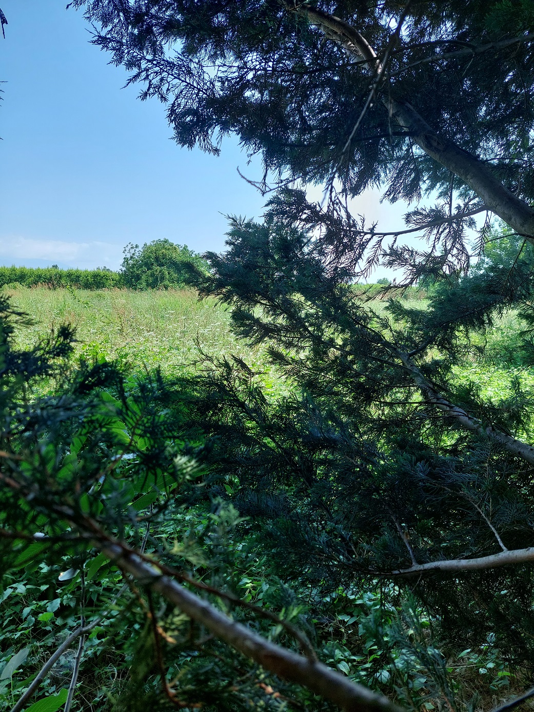 photo0