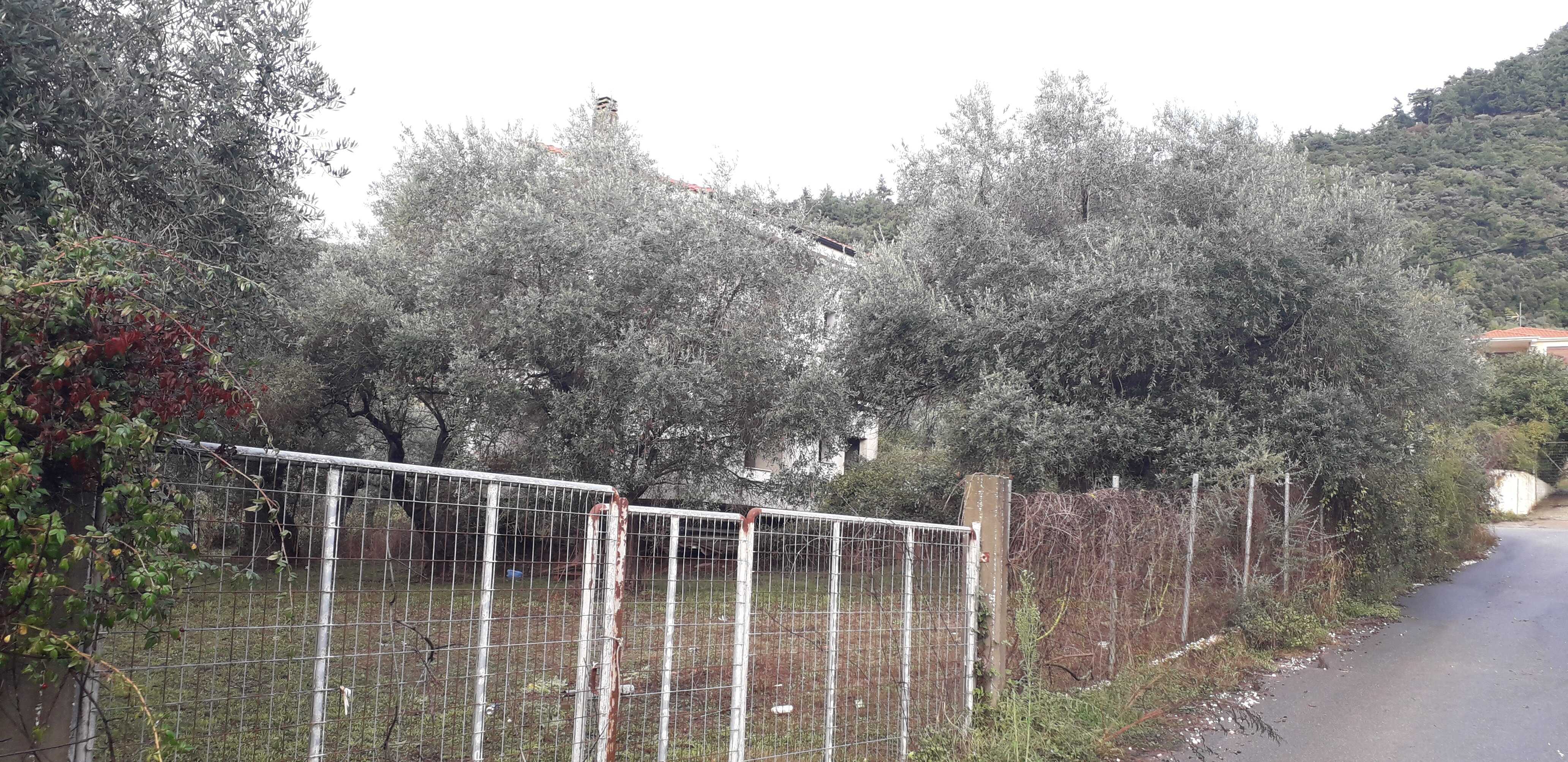 Οικόπεδο με κτίσμα  σε πλειστηριασμό Δήμος Θάσου