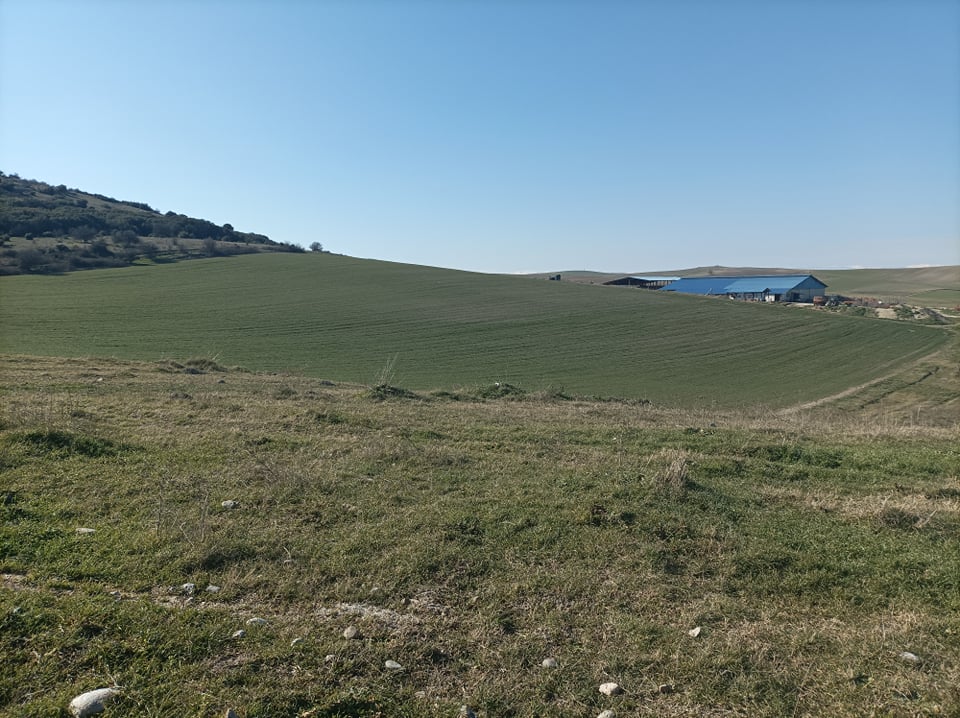 Αγροτεμάχιο 193 sq.m. σε πλειστηριασμό Municipality of Larissa