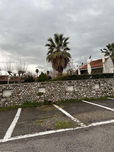 photo6