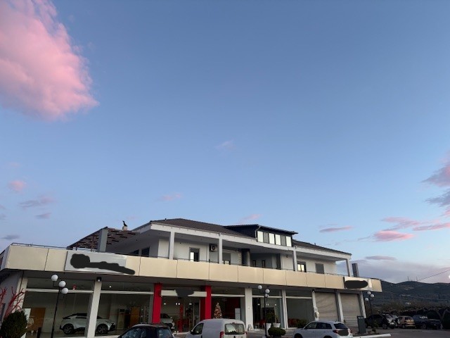 photo2