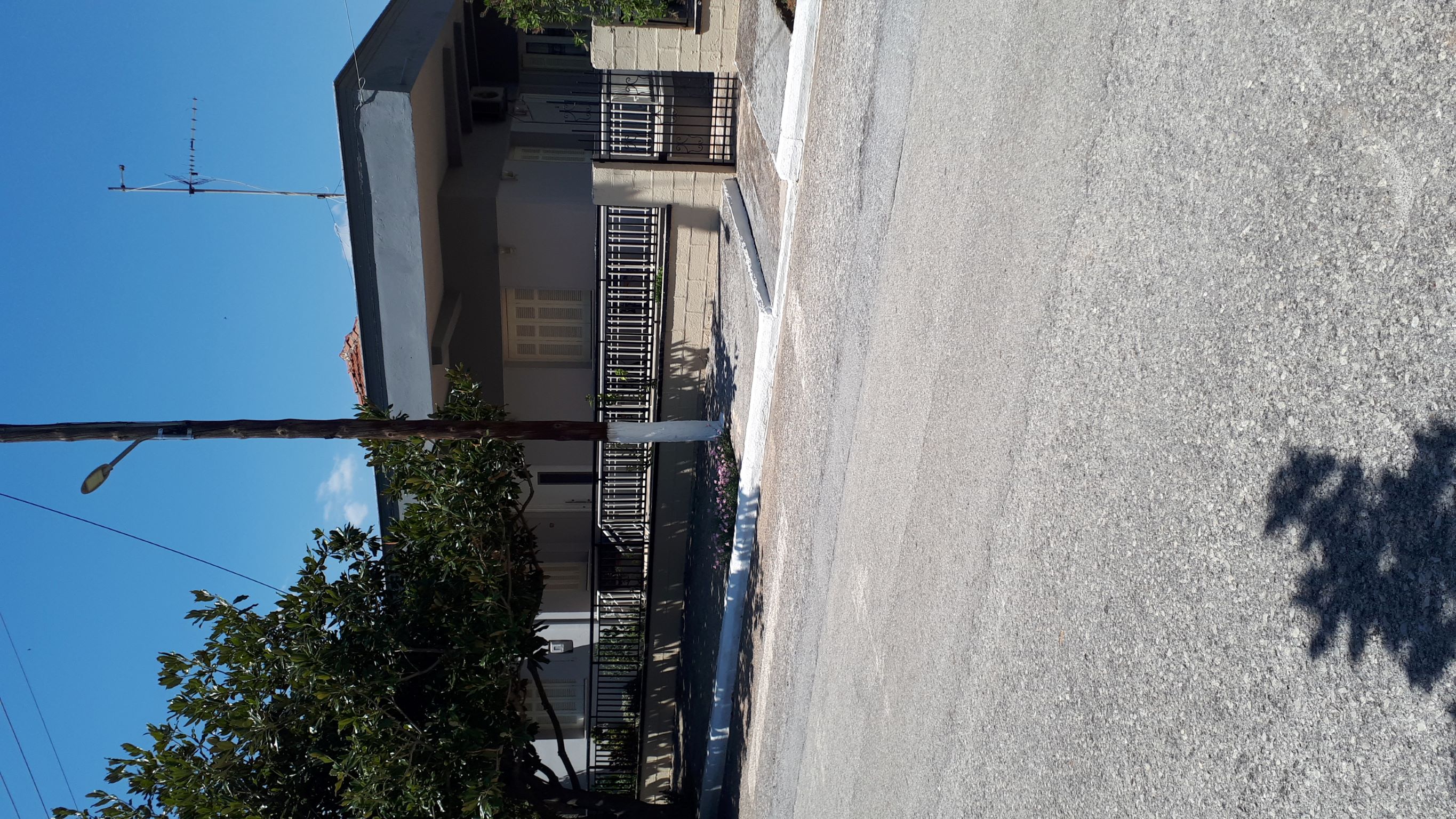 photo0
