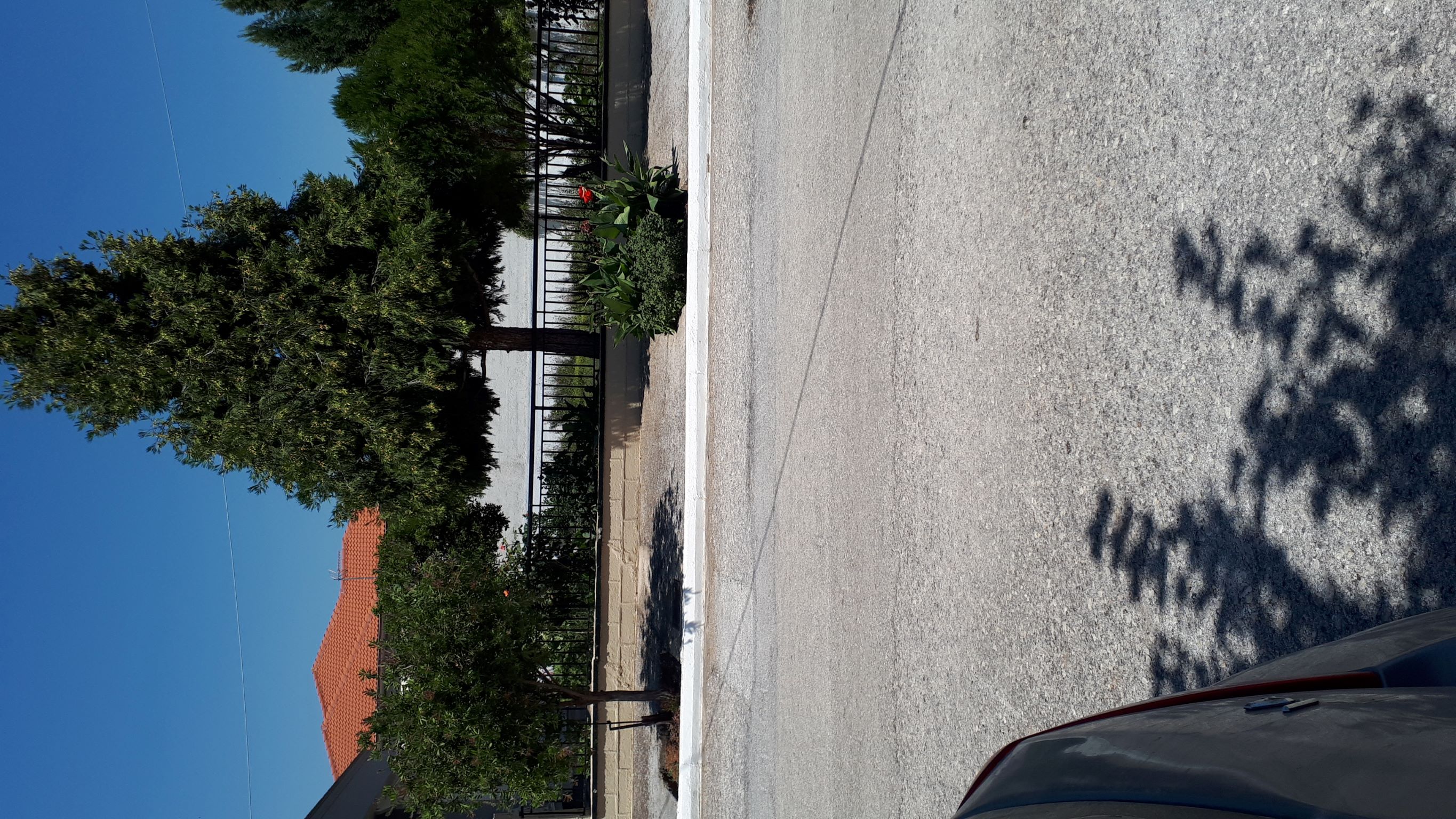 photo1