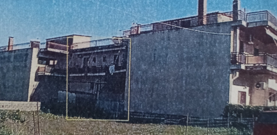 photo1