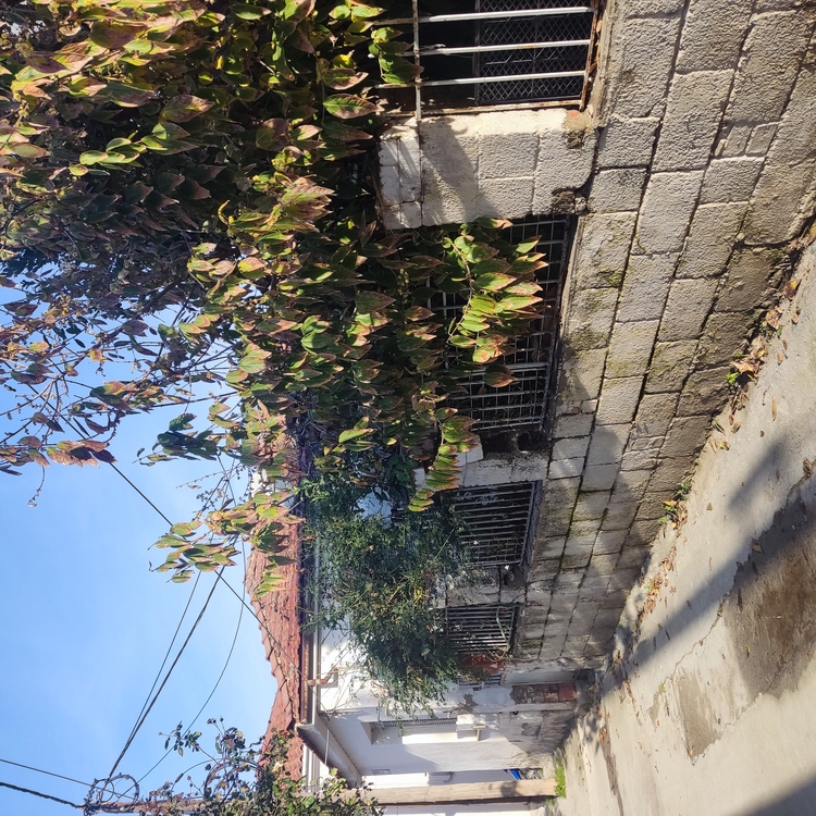 photo1
