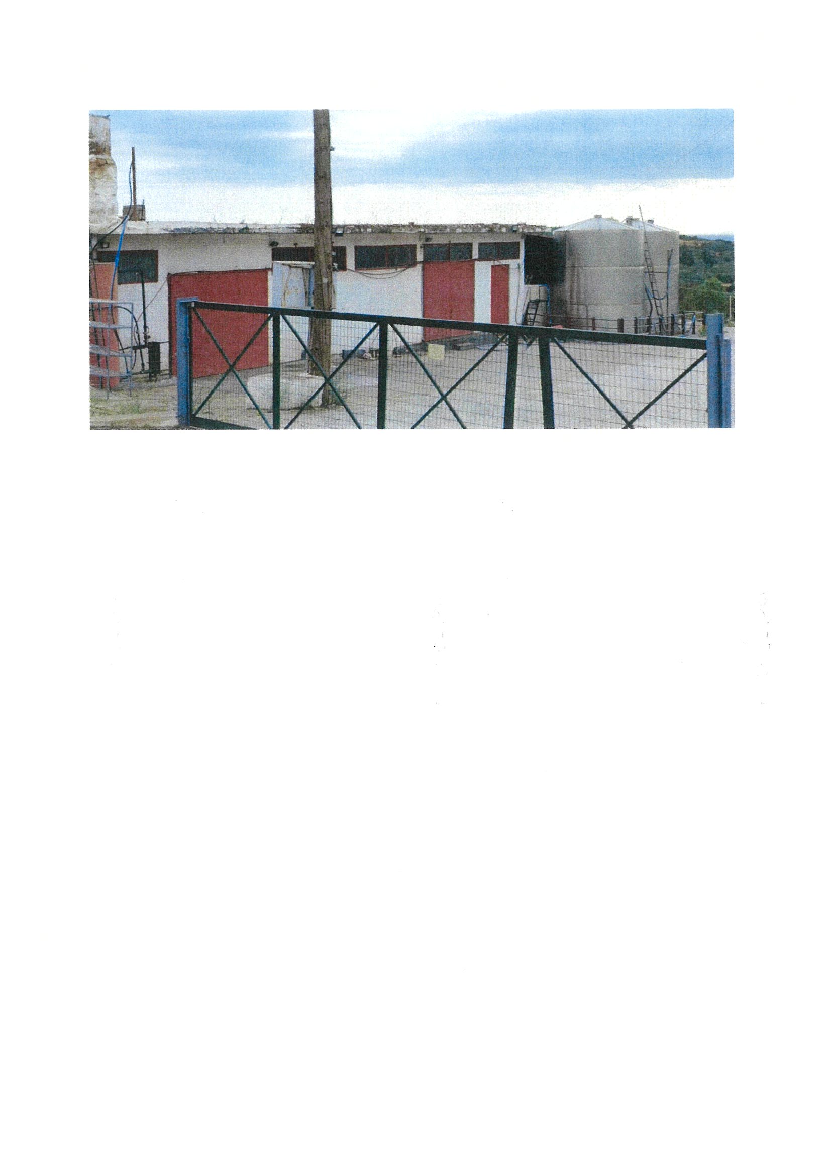 photo0