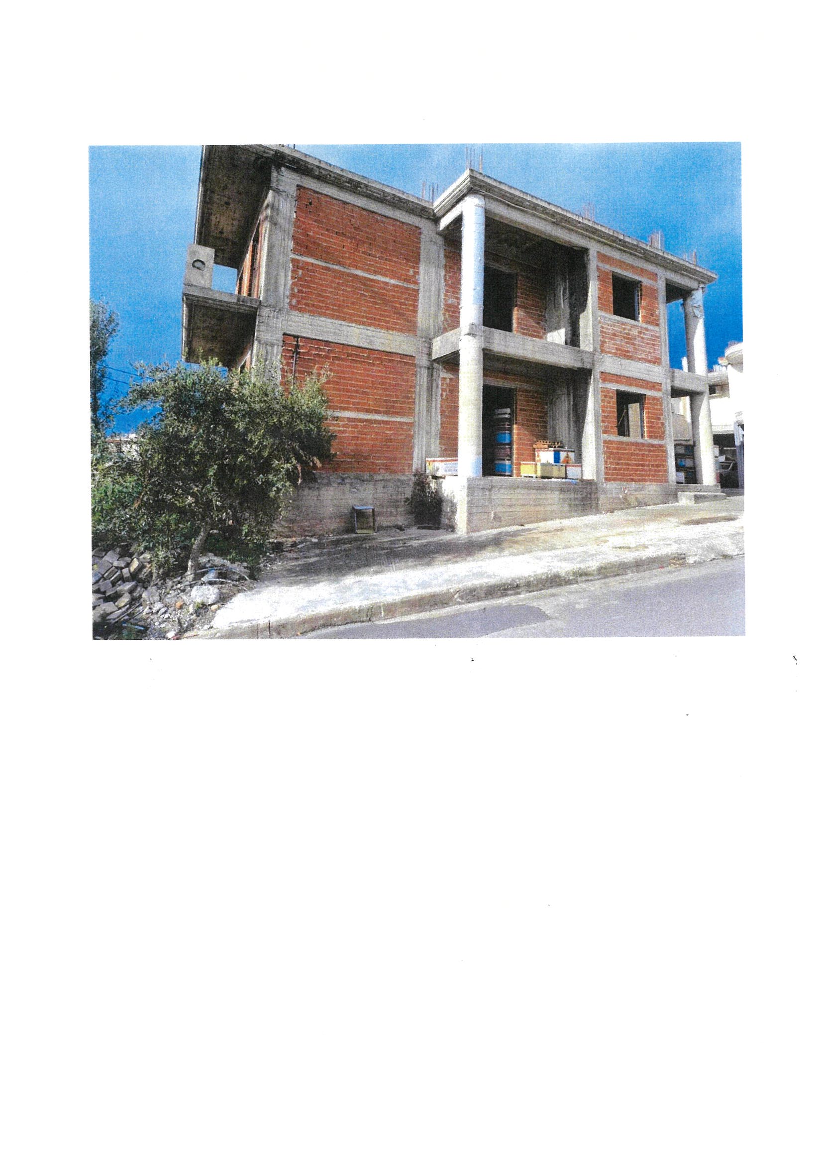 photo8