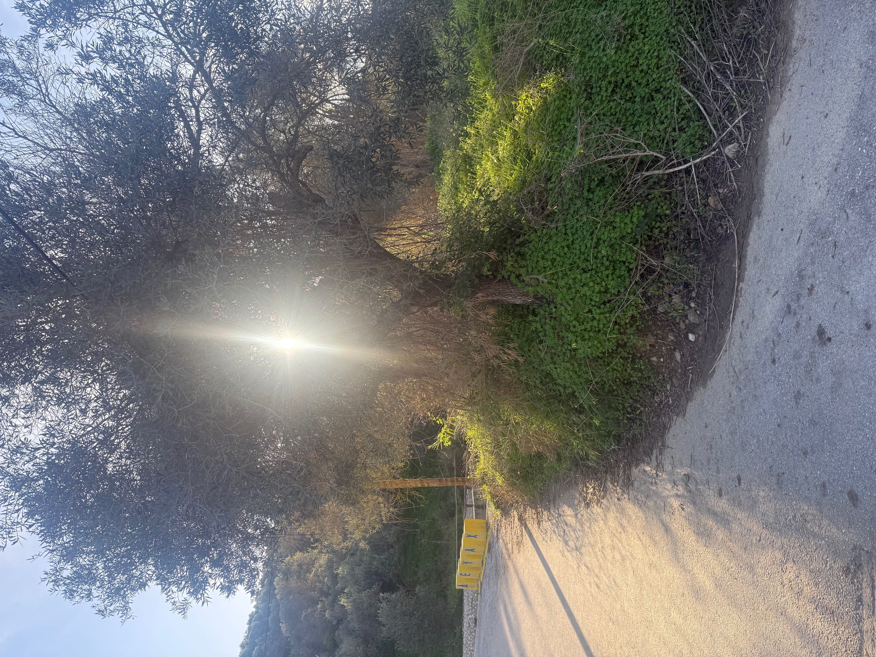 photo3