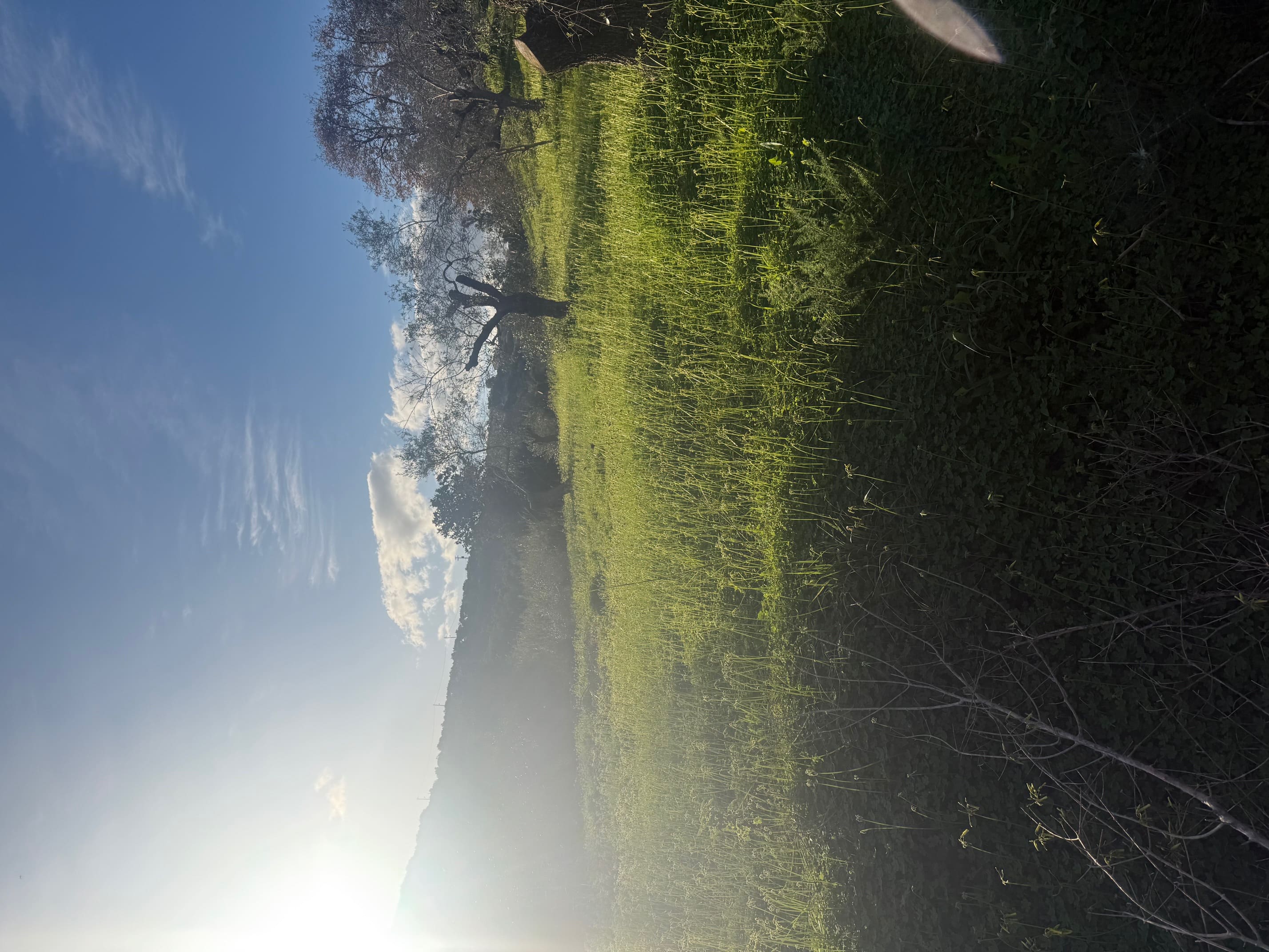 photo6