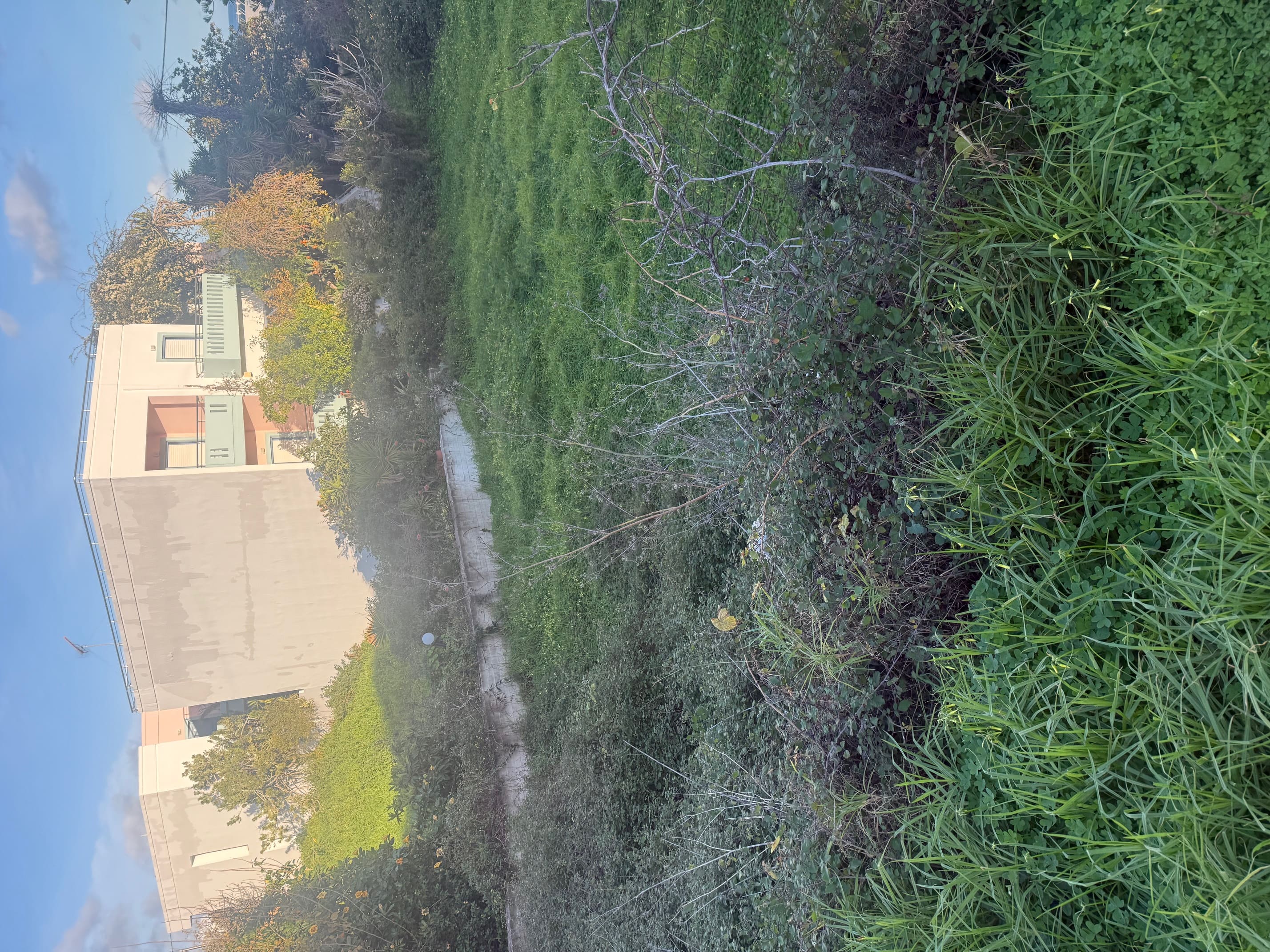 photo8