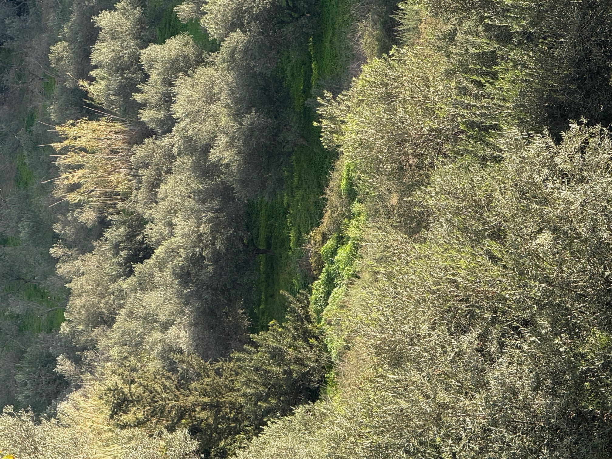 photo1