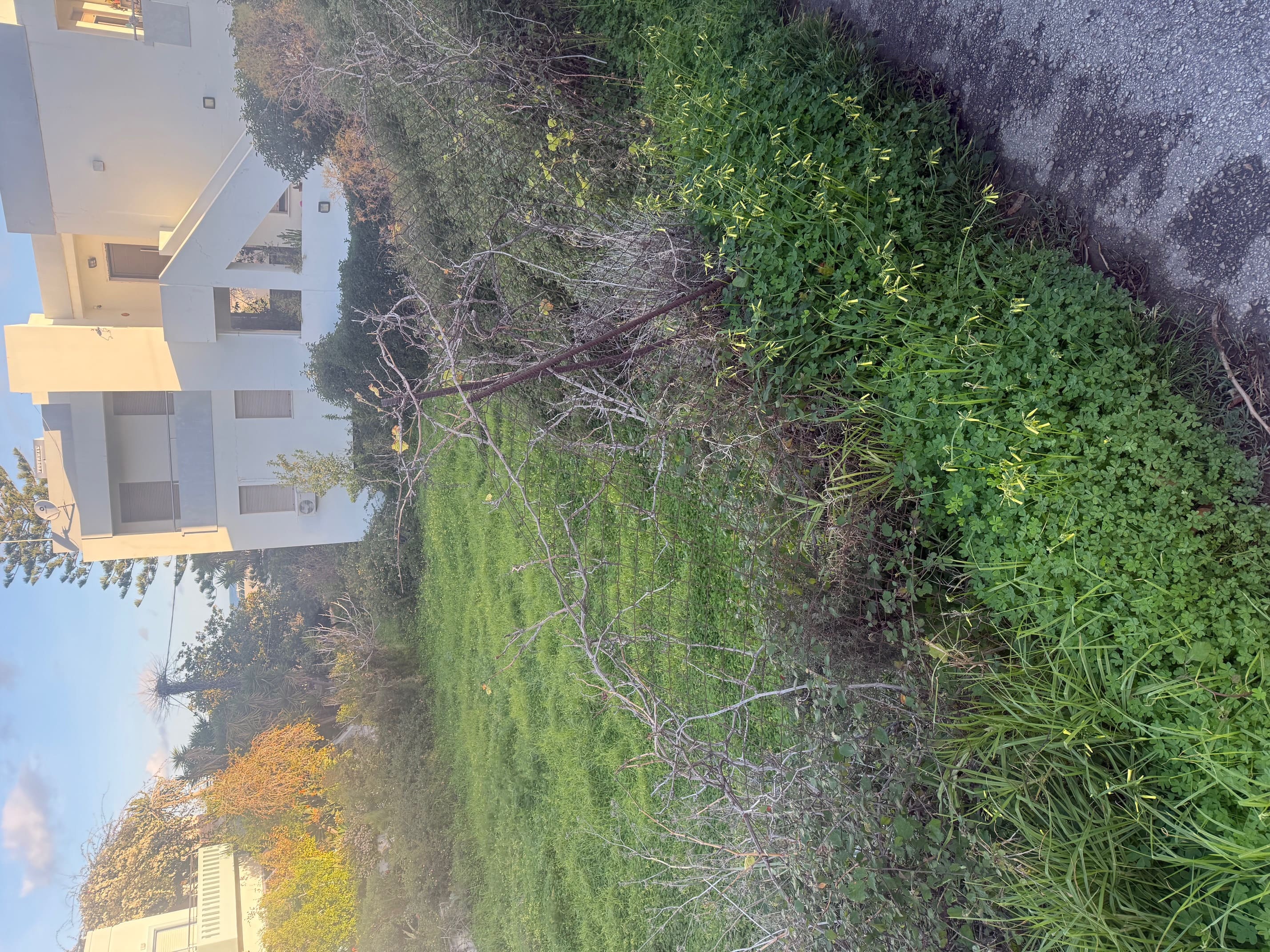 photo4