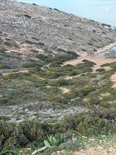 photo0