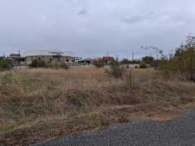 photo1