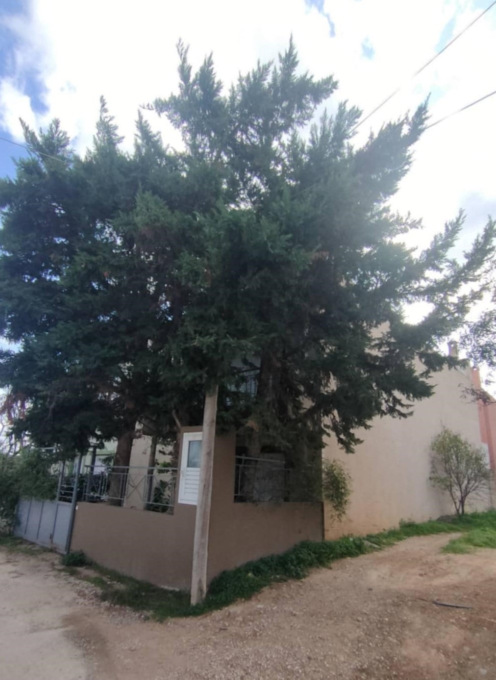 photo2