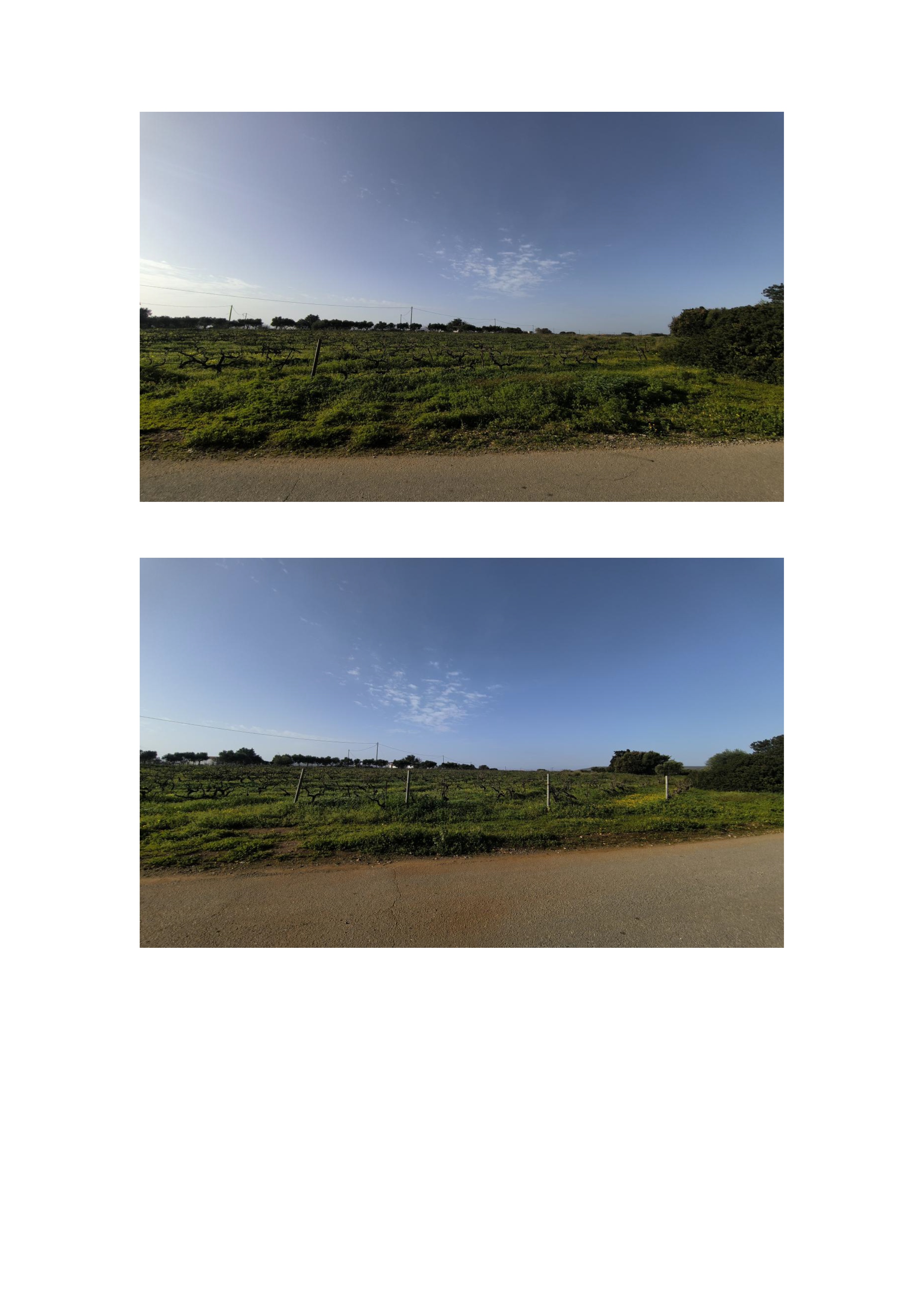 photo1