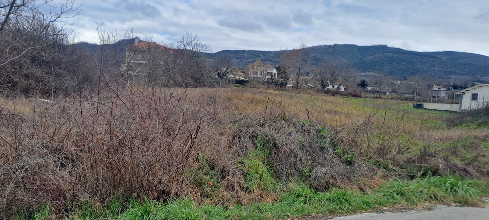 photo0
