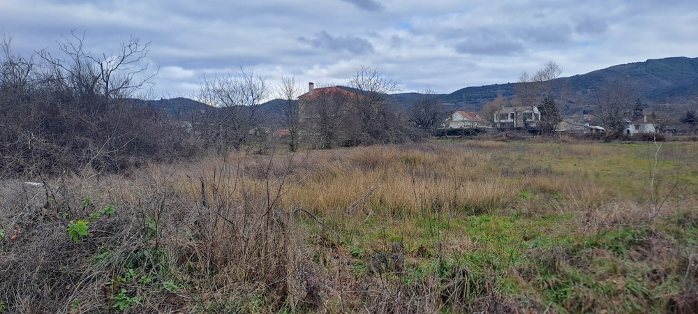 photo1