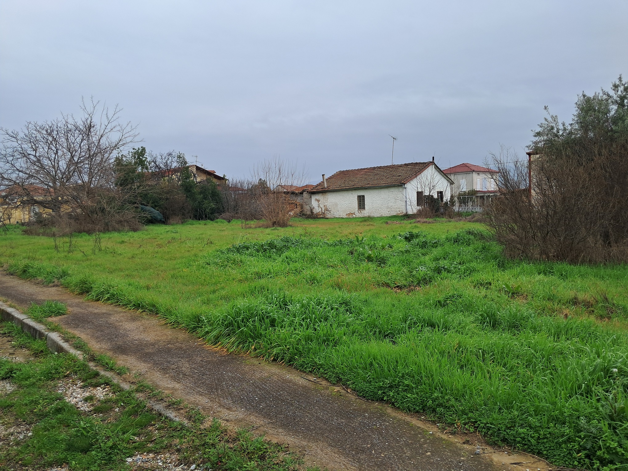 photo0