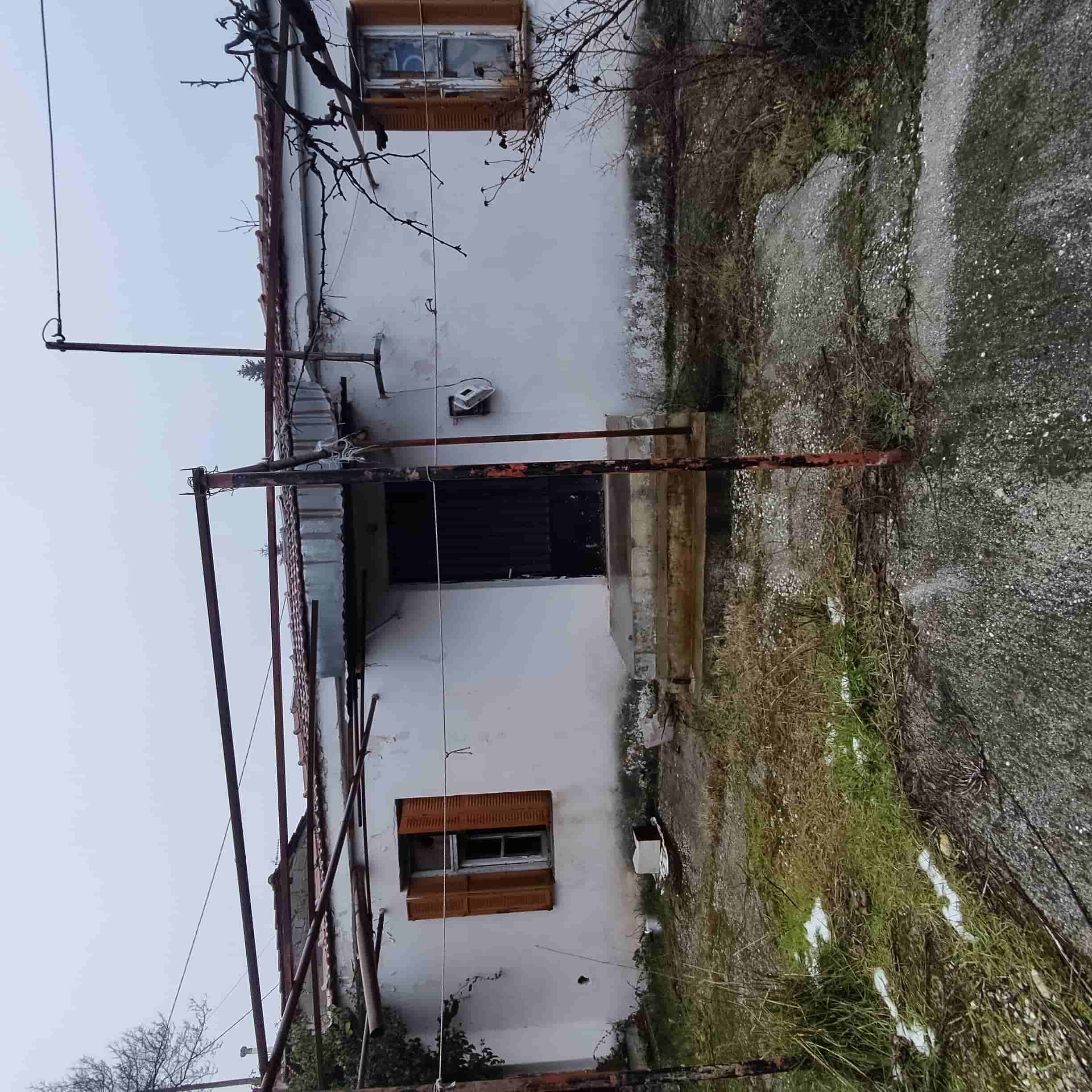 photo1