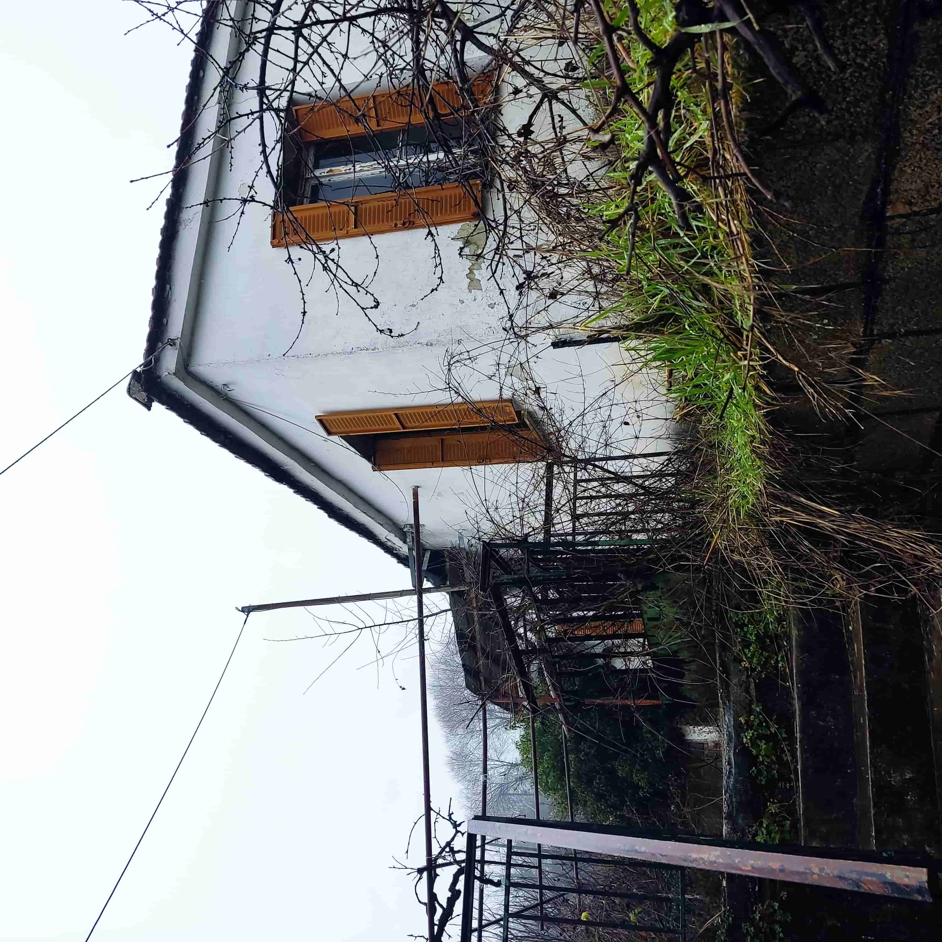 photo2