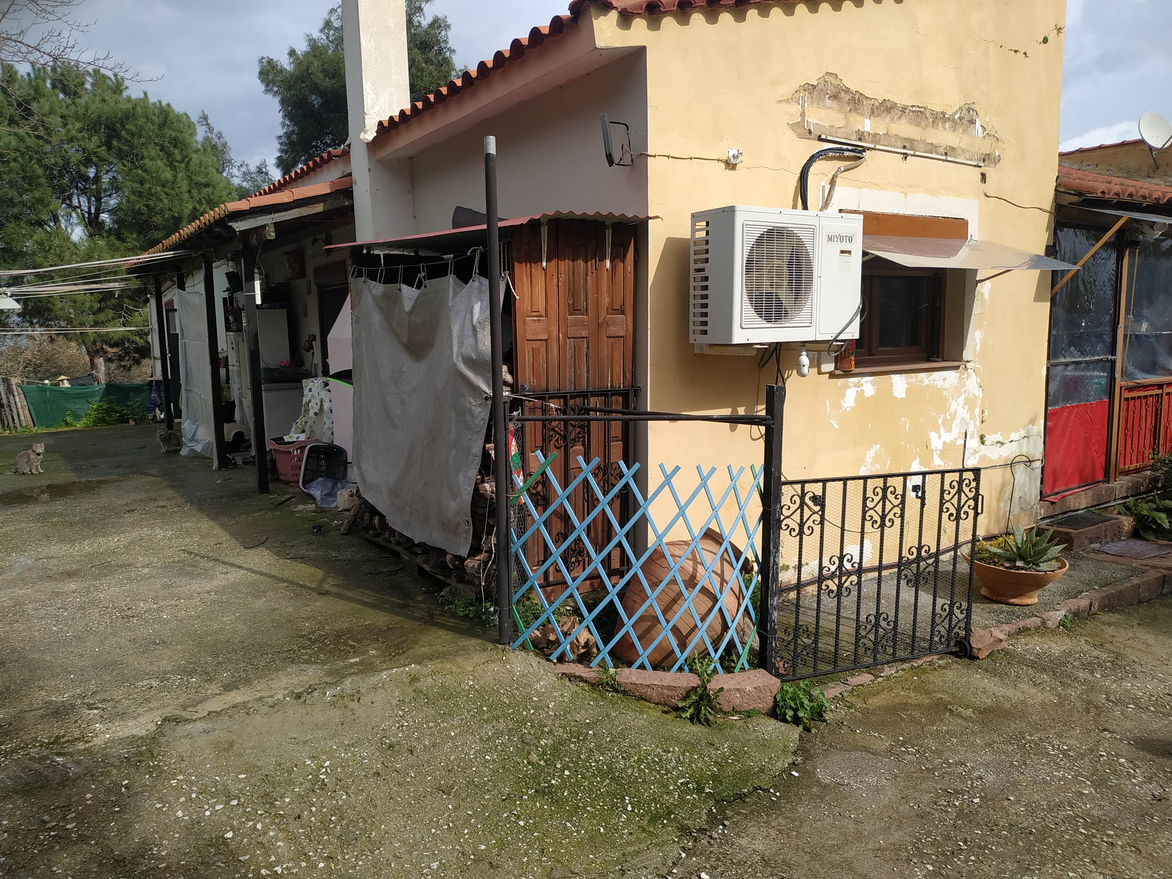 photo0