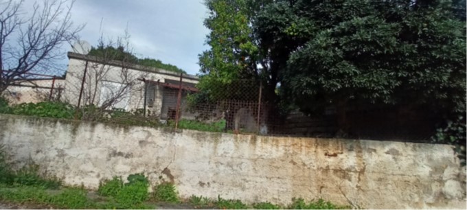 Αγροτεμάχιο  σε πλειστηριασμό Δήμος Ραφήνας - Πικερμίου