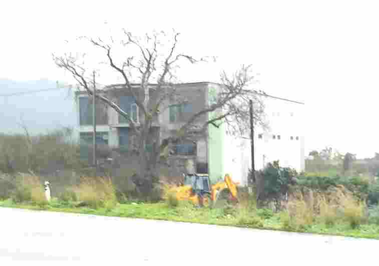 photo0
