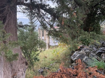 photo2
