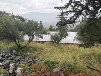 Οικόπεδο με κτίσμα  σε πλειστηριασμό Municipality of Apokorono 
