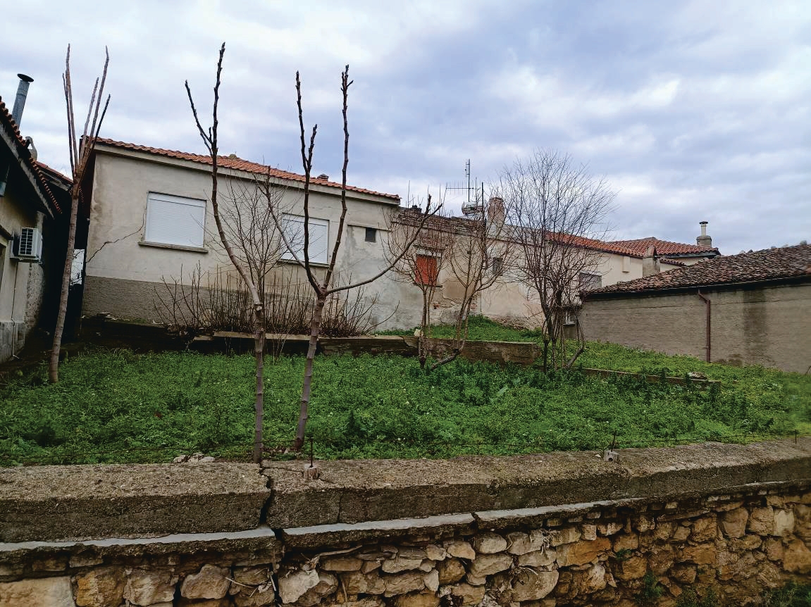 photo1