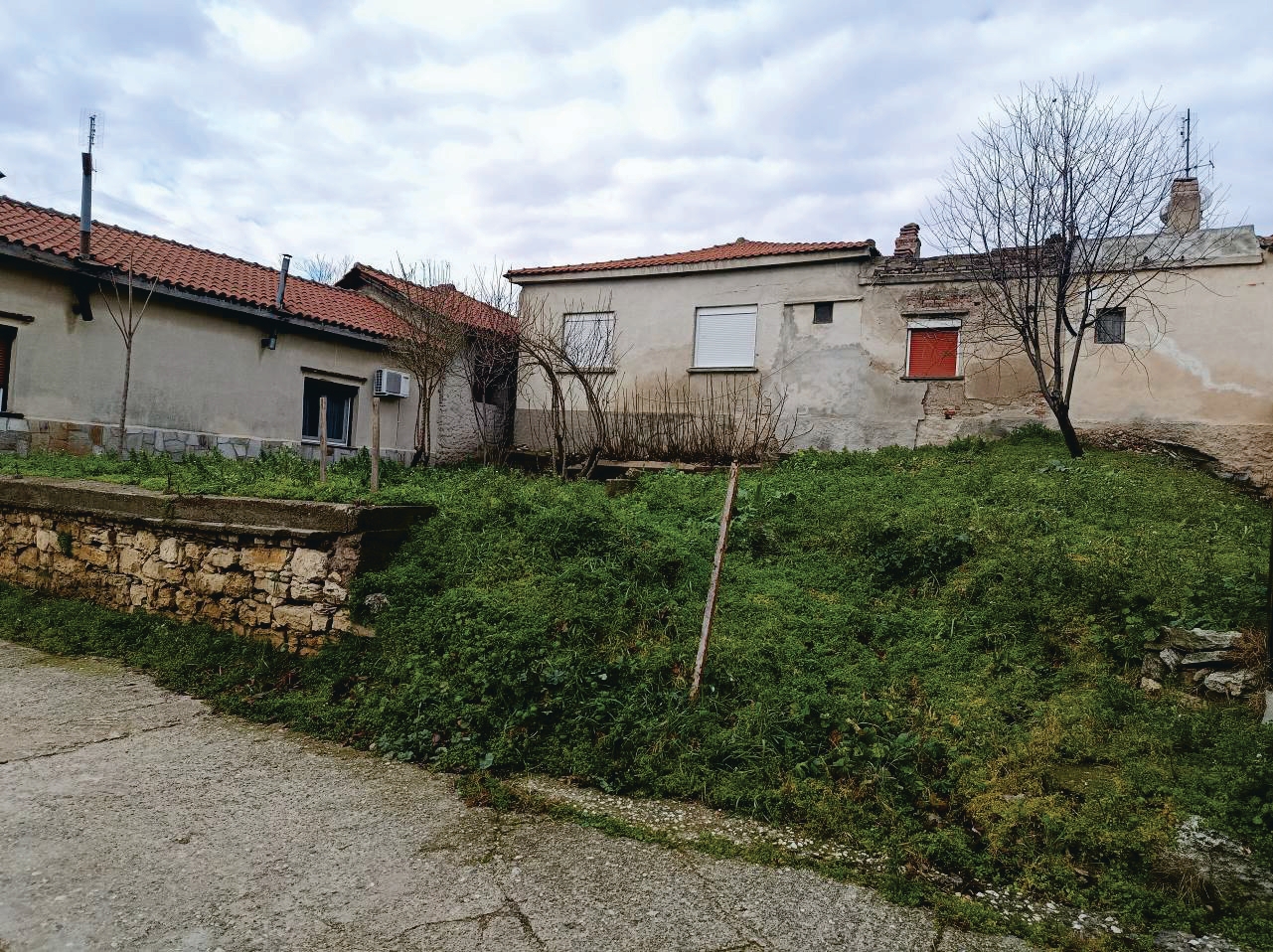 photo2