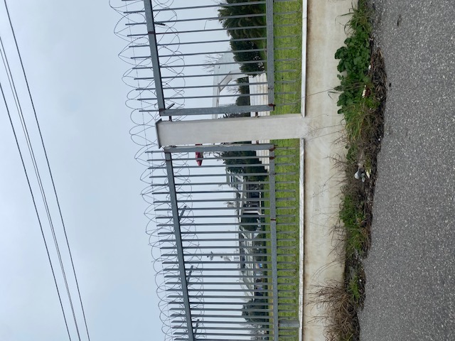 photo1