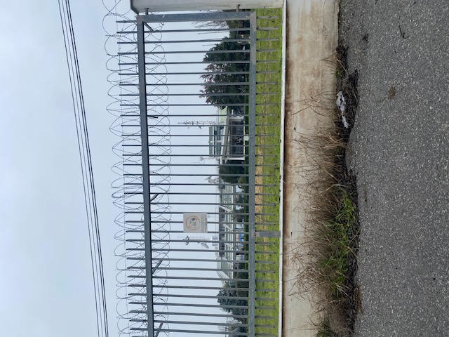 photo2