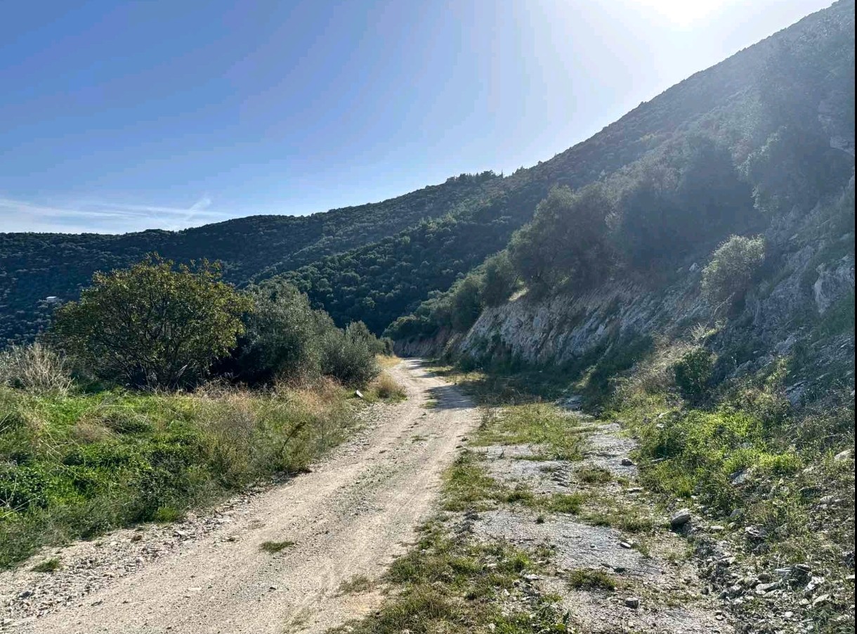Αγροτεμάχιο  σε πλειστηριασμό Δήμος Αλμυρού