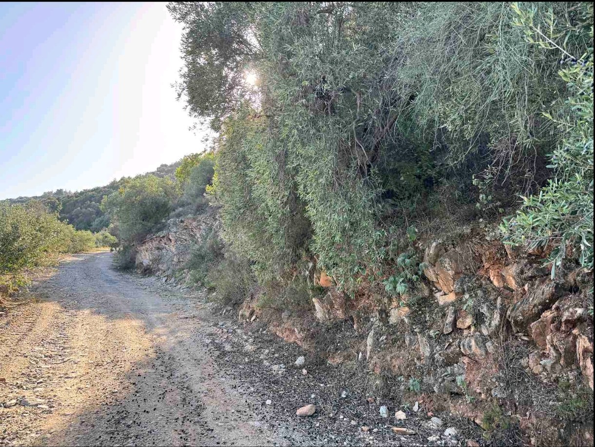 Αγροτεμάχιο  σε πλειστηριασμό Δήμος Αλμυρού