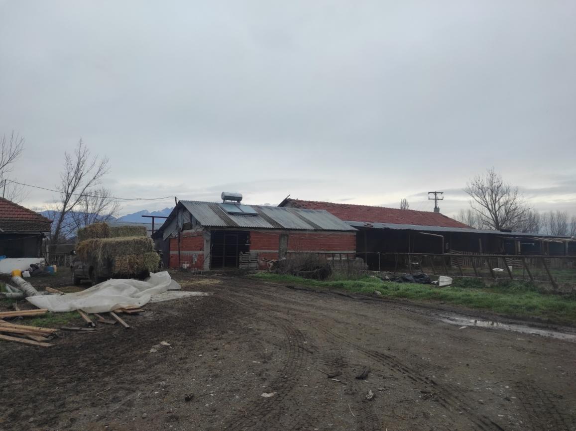 photo1