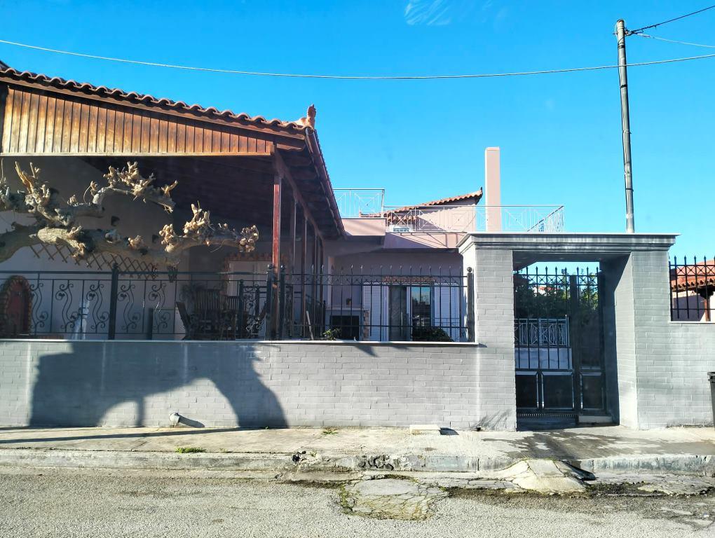 photo1