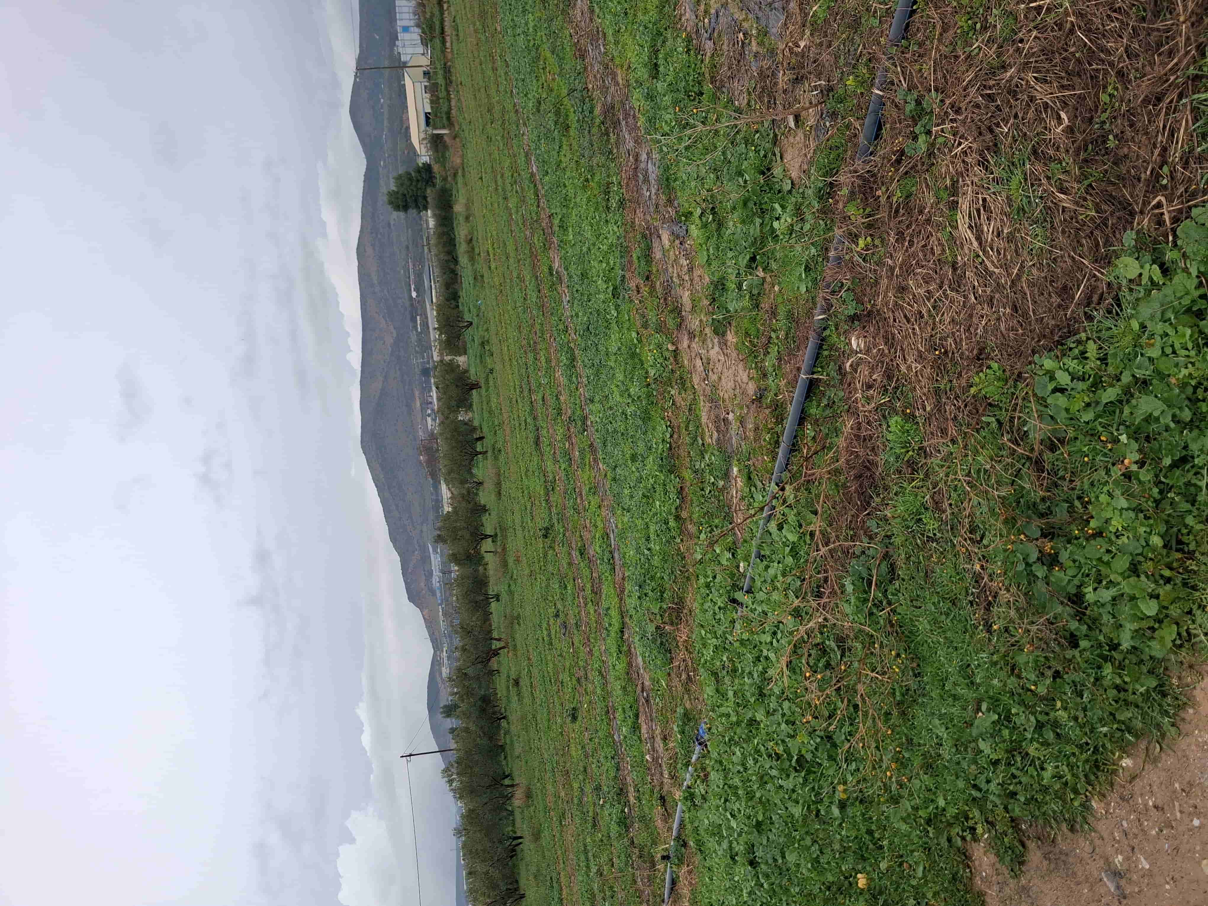 photo0