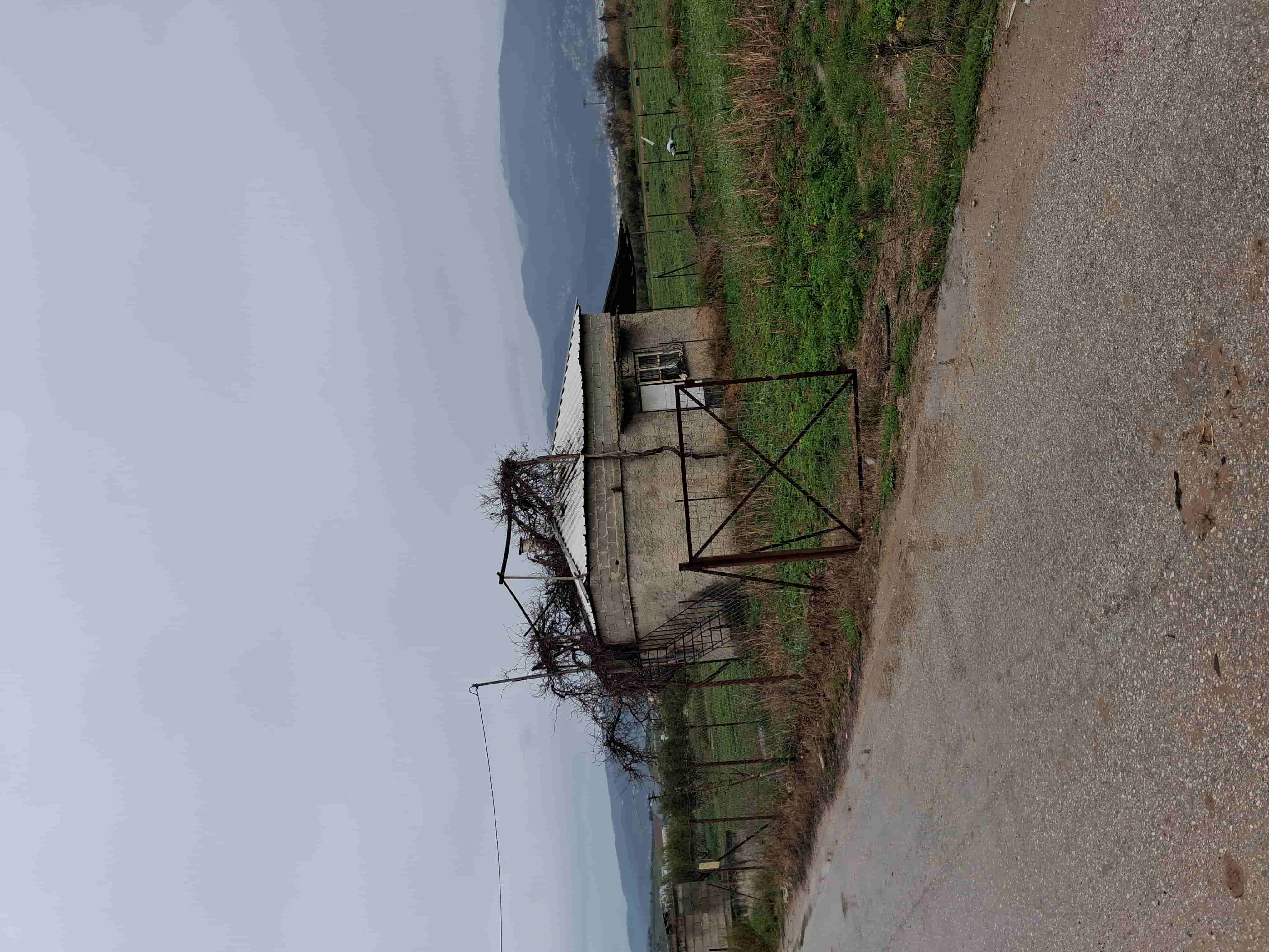 photo1