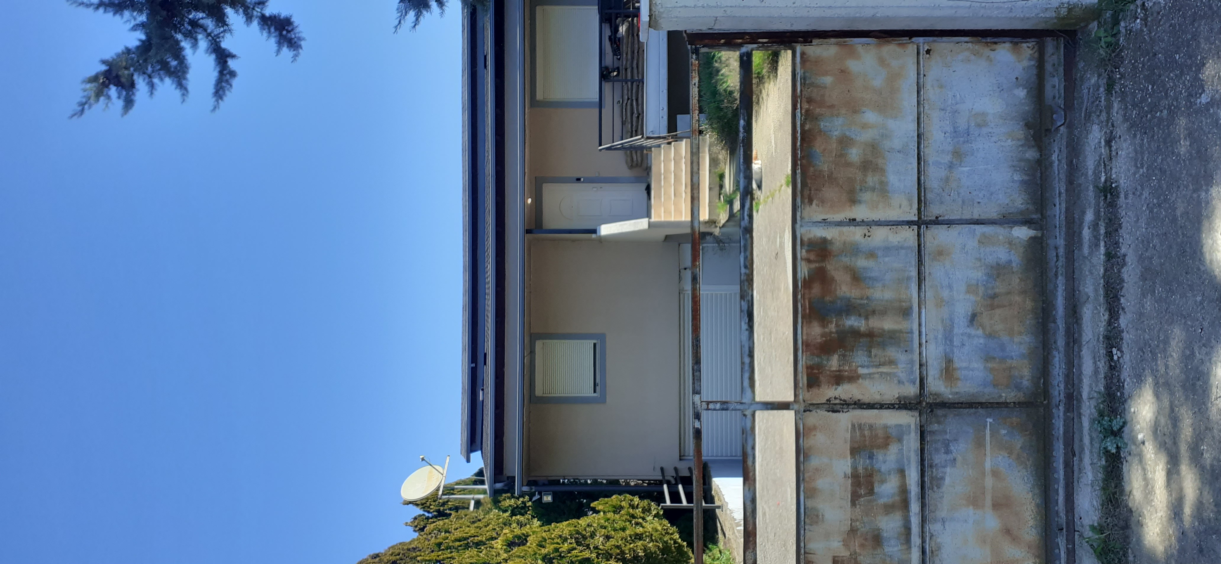 photo1