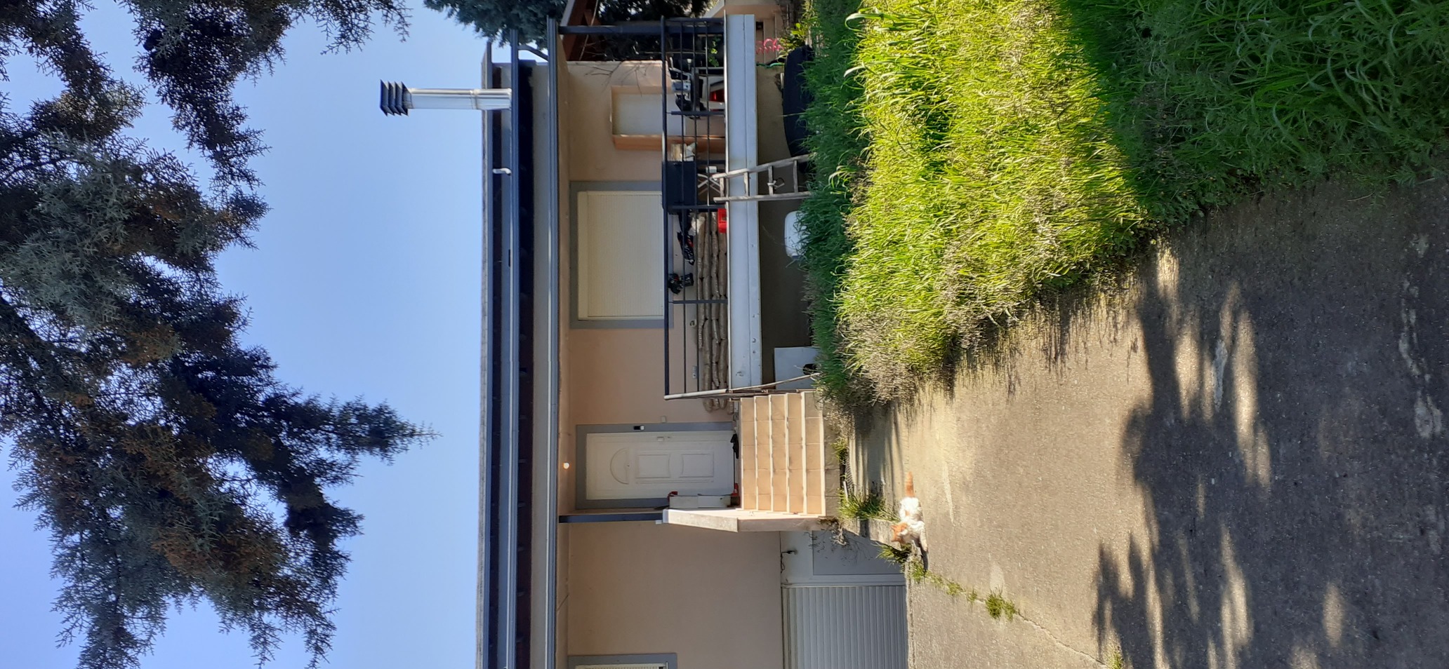 photo2