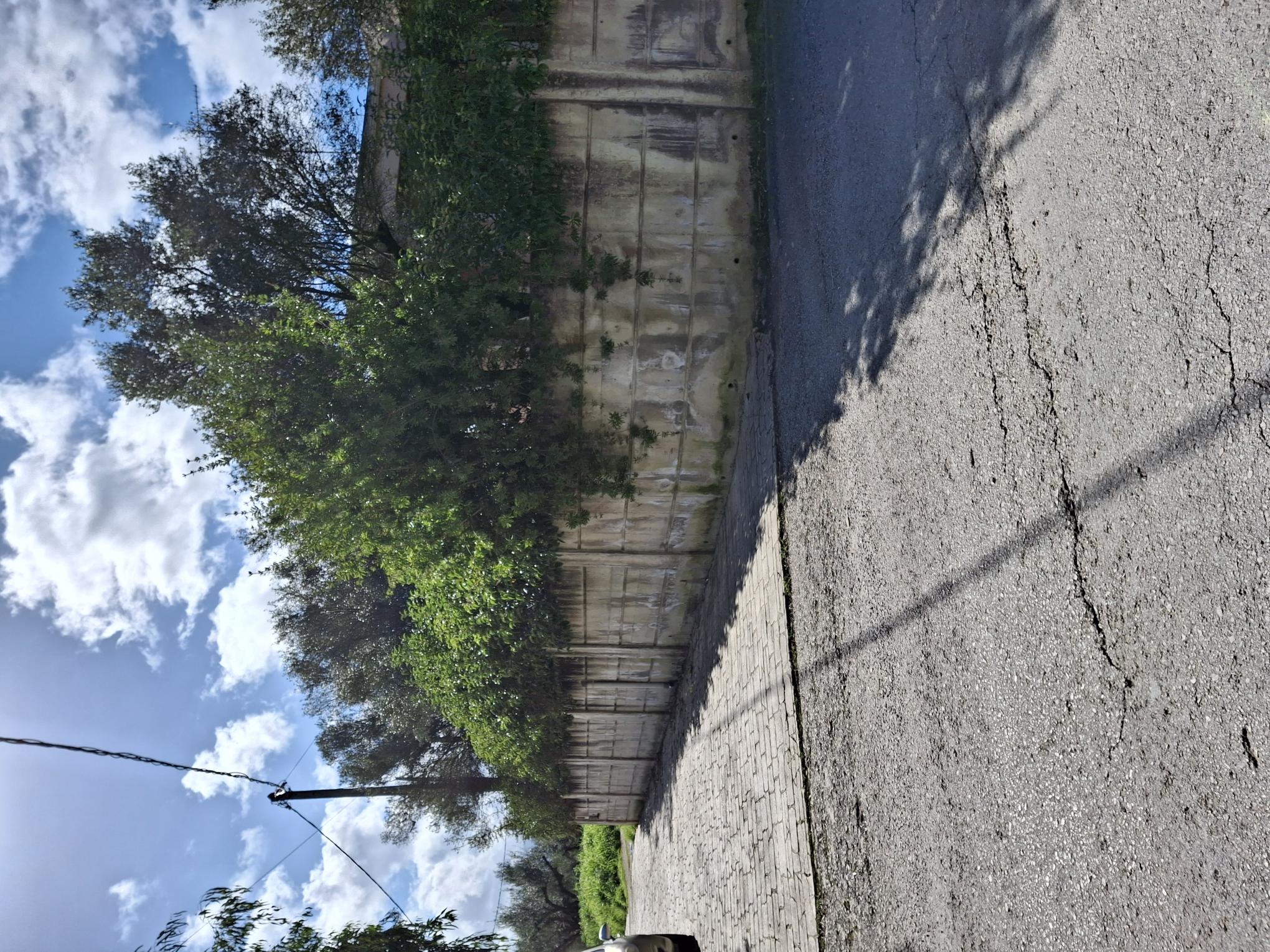 photo1