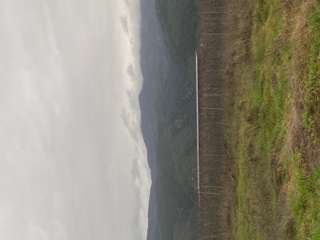 photo0