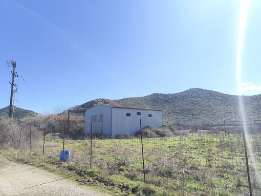Αγροτεμάχιο με κτίσμα 0 sq.m. σε πλειστηριασμό Municipality of Tyrnavos