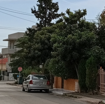 photomain