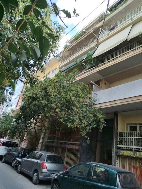 photo1