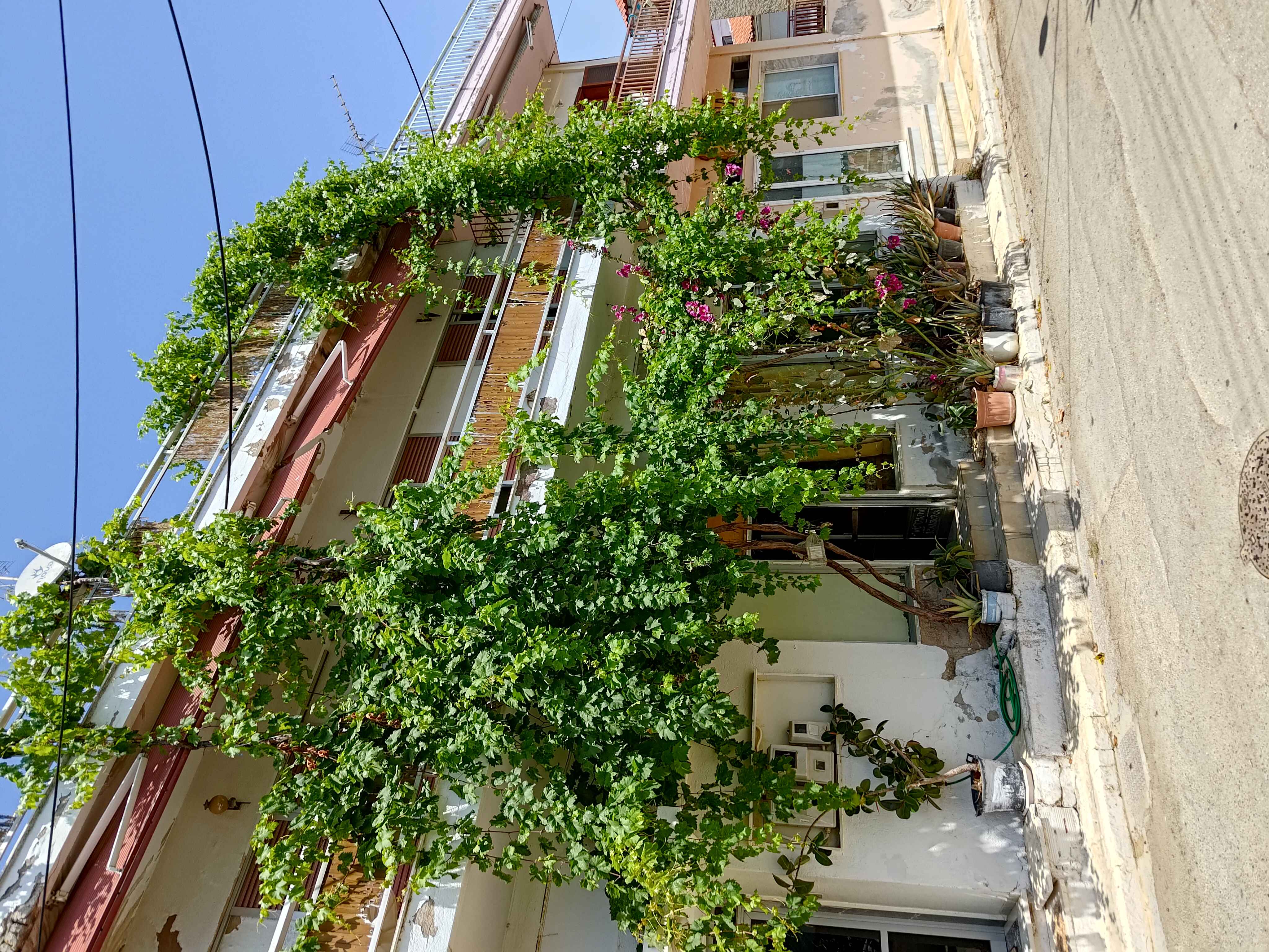 Οικόπεδο με κτίσμα  σε πλειστηριασμό Δήμος Νέας Προποντίδας